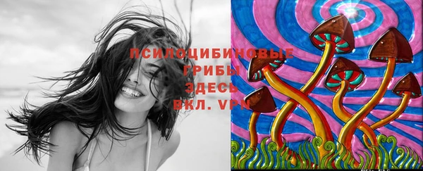 ешки Баксан