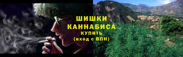 PSILOCYBIN Белокуриха