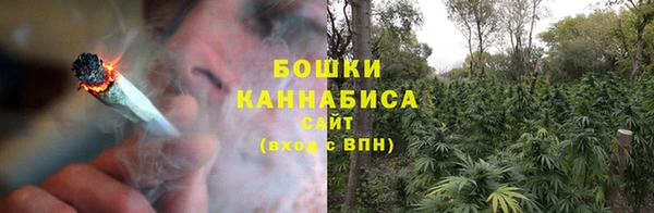 PSILOCYBIN Белокуриха