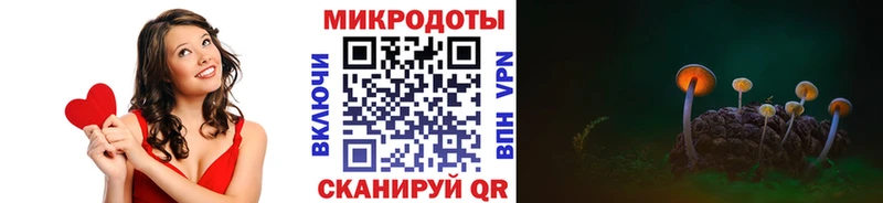 Псилоцибиновые грибы Psilocybine cubensis  Верея 